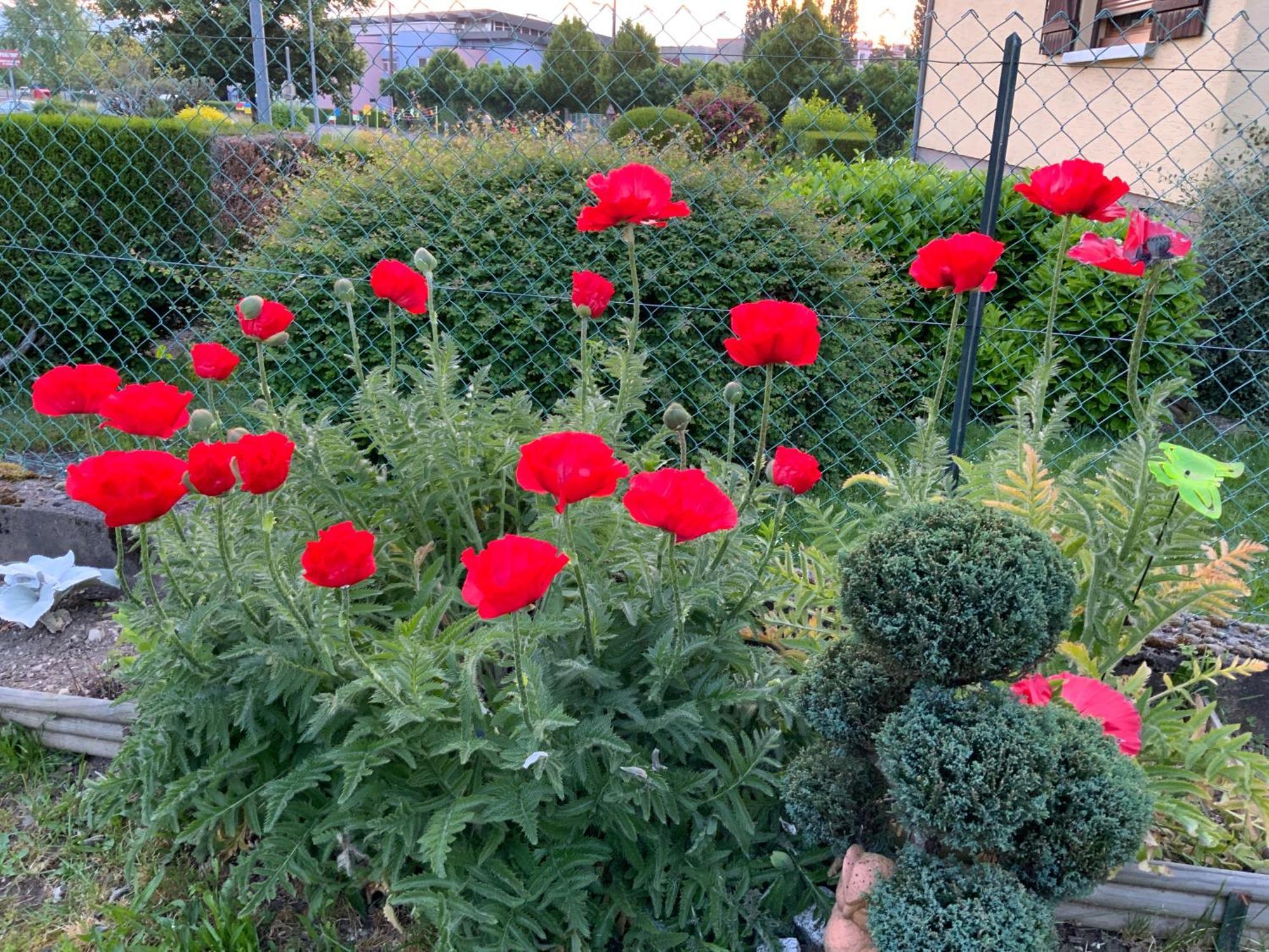 Le Nid Fleuri De Cravanche מראה חיצוני תמונה